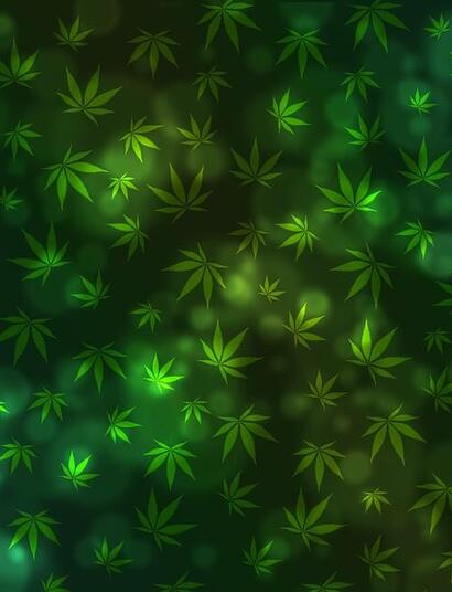 Internet de las cosas en el cannabis