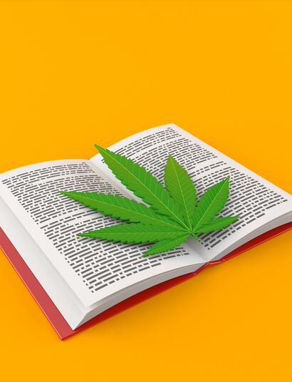 Breve storia della cannabis nella letteratura