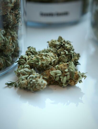 Medizinische Fachverbände fordern Reform