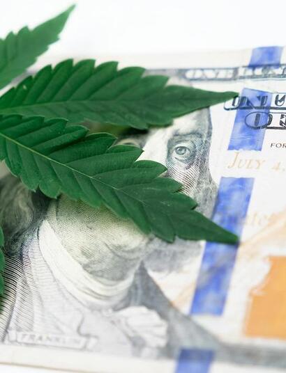 ¿Por que la caída de precio de marihuana en el mundo y América Latina?