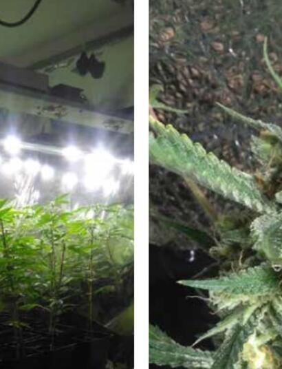 indoor