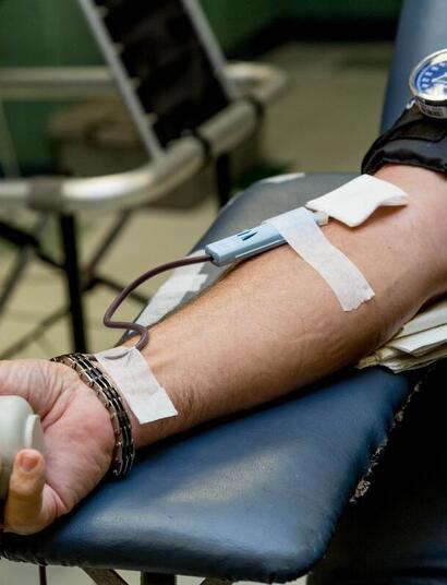 Can cannabis users donate blood? 