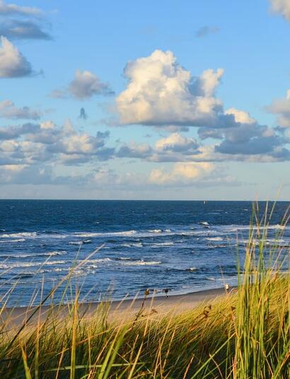 Can you smoke cannabis on the beach? Explore the rules in the US, England, Australia, Thailand, and Europe, plus what to know before lighting up this summer. 
