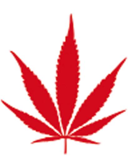 Canada: 125 miljoen euro wietbelasting in bijna 6 maanden