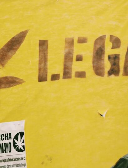 Cannabis legal en Uruguay: record de ventas en 2025 y acceso a turistas en 2026.