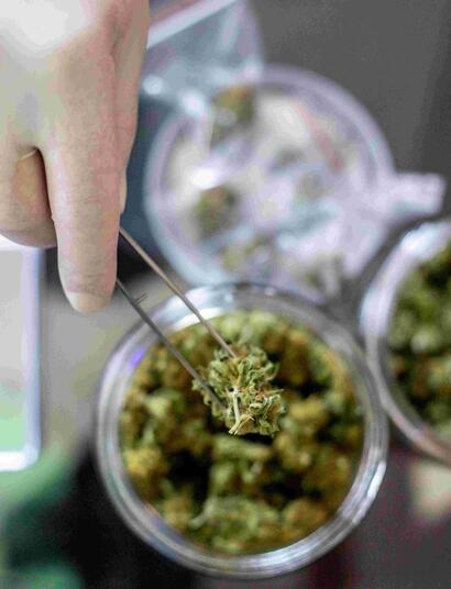 Cannabis Medica