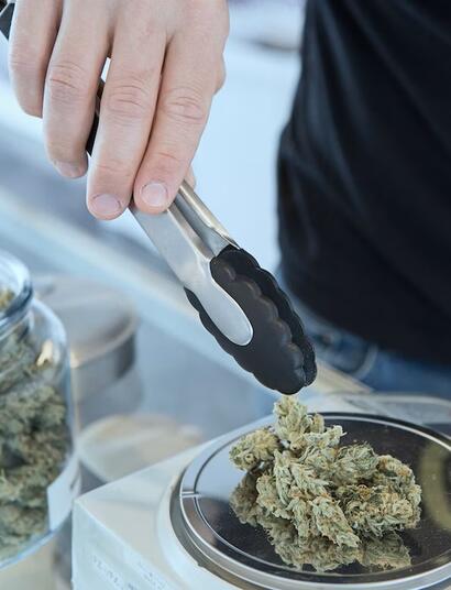 cannabis
