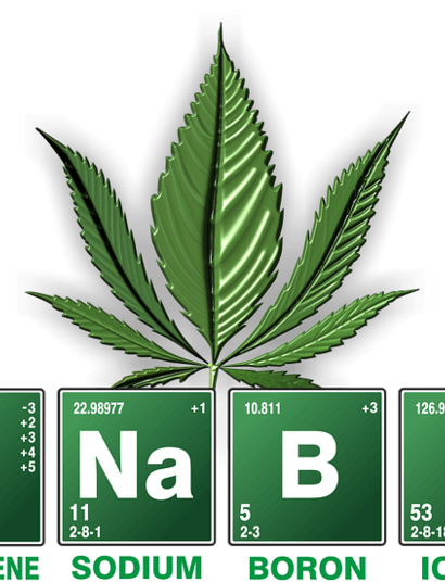 Obtienen nuevos cannabinoides de levaduras