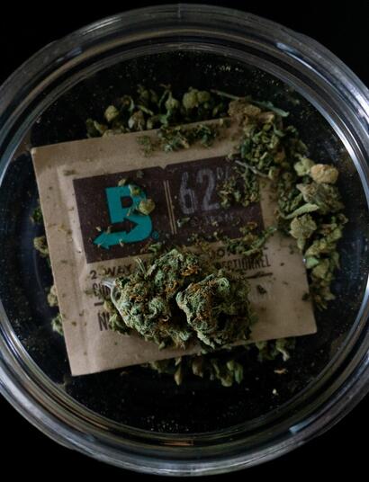 Działanie i smak marihuany - prowadzenie dziennika konopnego