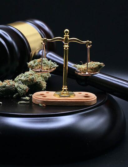 Stop alla cannabis light, nuova proposta del governo Meloni