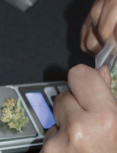 Cannabis als banenmotor