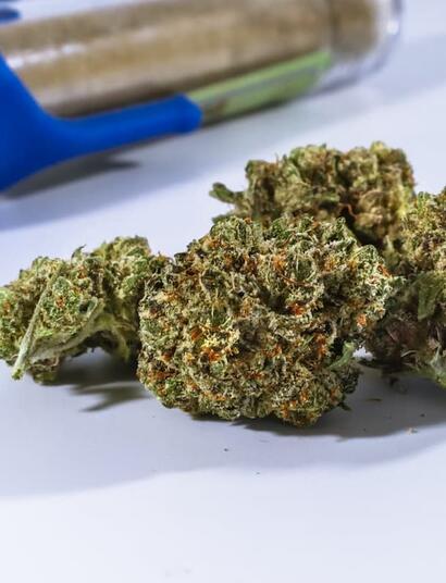 Explore the relationship between cannabis and mood. See how THC and CBD interact with the brain to support emotional balance and when to seek professional help.