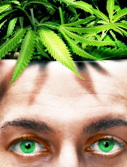 La Cannabis e lo sviluppo celebrale