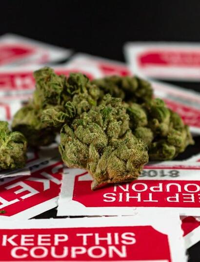 Check out the list of cannabis festivals and events for 2025, where enthusiasts can explore the latest trends, weed products, and industry innovations. 