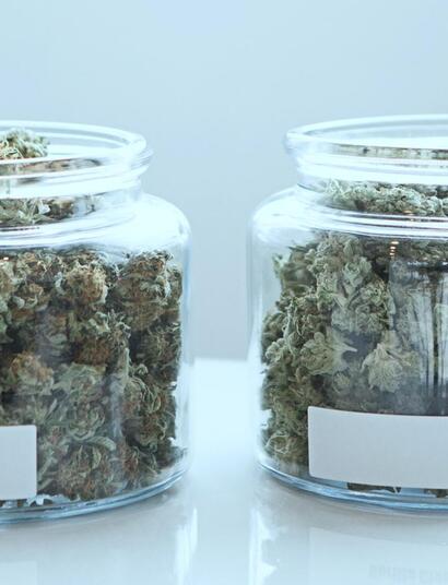 Two jars with samples of lush green cannabis. 