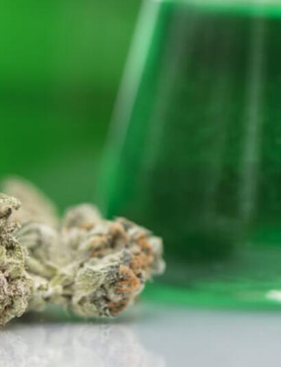 México autoriza derivados del cannabis