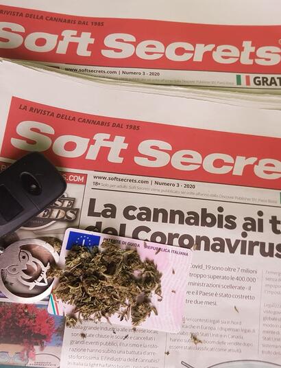 Cannabis terapeutica e patente di guida