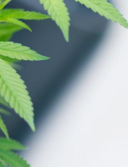 Understanding and Measuring pH