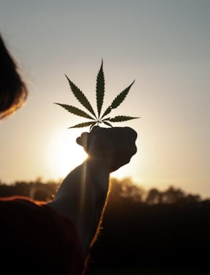 first year of legal weed in Washington state