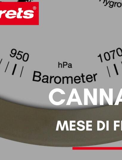 Cannametro del mese di Febbraio 2021