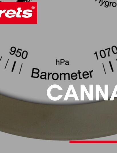 Cannametro dell'anno 2020