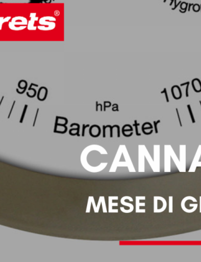 Cannametro di Gennaio 2020