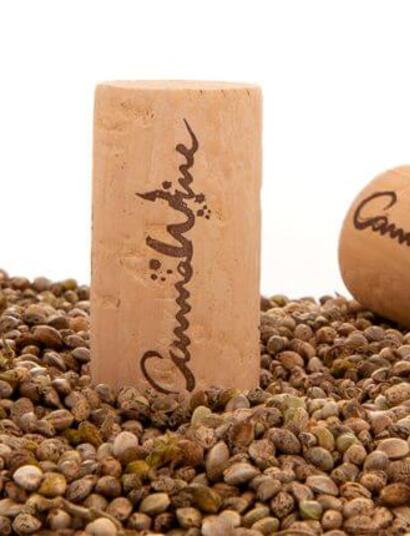 Ni blanco ni tinto, ahora el vino es verde