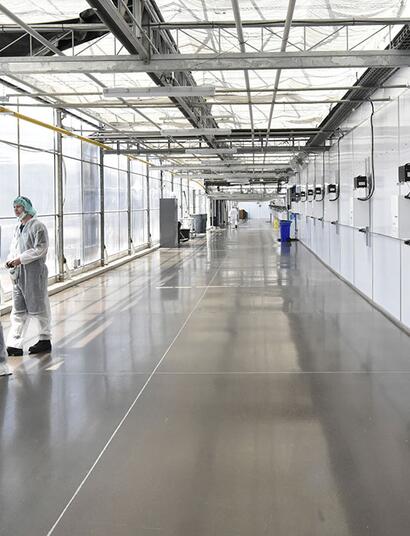 Canadees wietbedrijf CannTrust