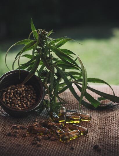 CBD for Arthritis Pain: What Seniors Should Know Before Trying It