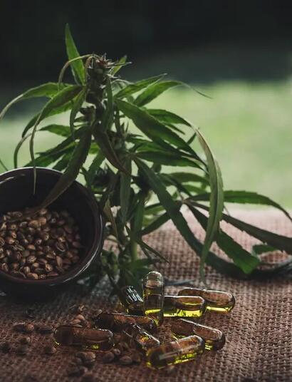 CBD-Moleküle interagieren mit dem Endocannabinoid-System, einem Netzwerk, das die Immunfunktion und das Schmerzempfinden reguliert.