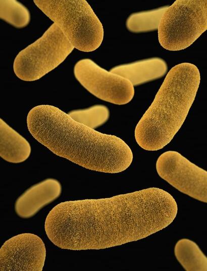 Representación visual de bacterias Gram-negativas resistentes (superbacterias) que pueden ser combatidas eficazmente mediante la sinergia de CBD y colistina descubierta recientemente