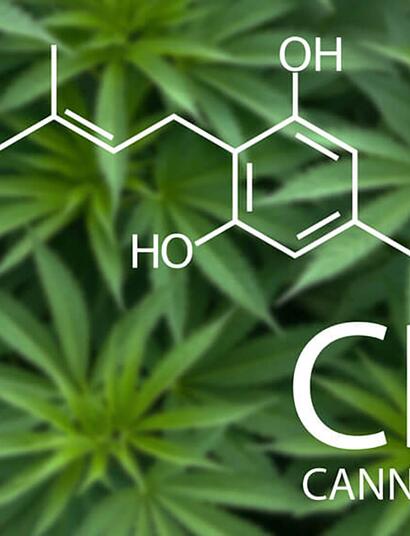 CBG Il cannabinoide madre