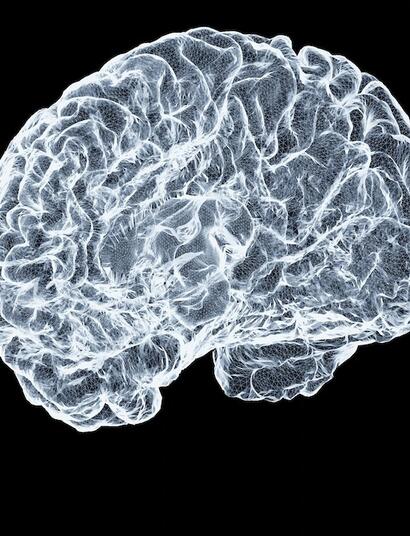 ¿Qué ocurre en el cerebro del consumidor diario?