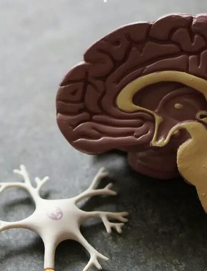 cervello, scienza, fumare