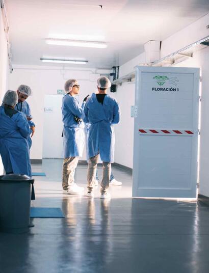 Argentina marca un precedente en la industria del cannabis medicinal con la primera exportación de fitocannabinoides desde Chaco a Nueva Zelanda. Foto: Cannafis.