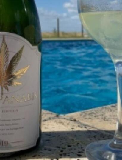 Champanabis el vino cannábico perseguido
