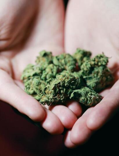 Regulación del cannabis en Chile: principales puntos del proyecto de ley.