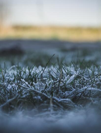 ¿Cómo-cultivar-cannabis-en-invierno?