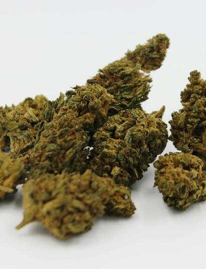 amnesia haze cannabis strain