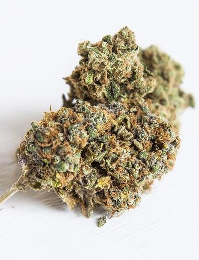 hindu kush cannabis strain