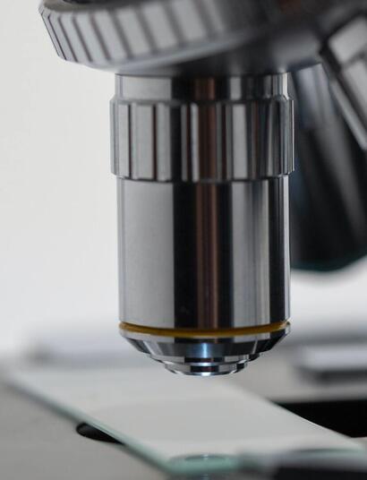 5 Countries in the World Leading in Medical Cannabis Research