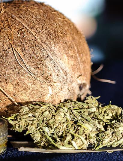 Cultiva con fibra de coco