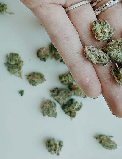 Uso racional del cannabis.