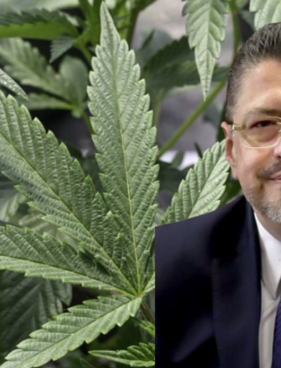 Costa,rica,chaves,erba,legale,presidente