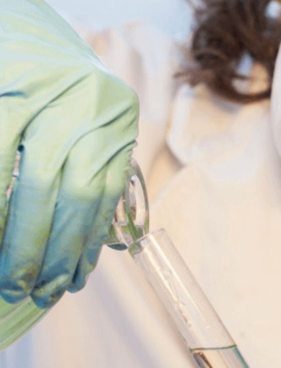 Radiografía al sistema endocannabinoide