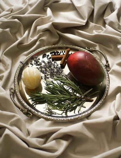 bandeja de plata con cítrícos, ramas y mango sobre tela 
