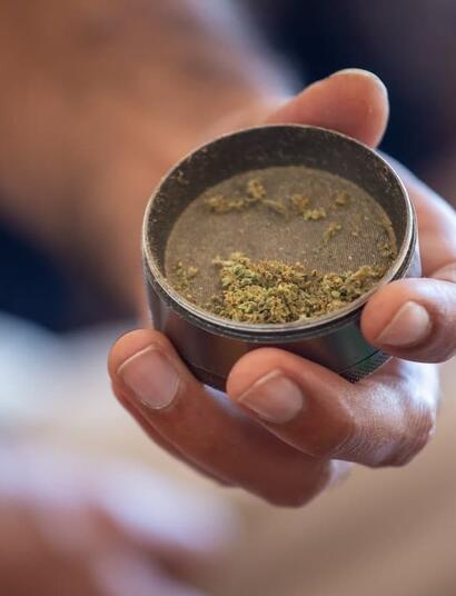 Discover how to collect kief (pollen) from cannabis — learn easy methods like freezing, screening and pressing to make your own hash and maximize potency.