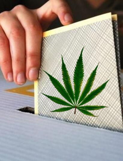 Cannabis: quali Partiti sostengono la regolamentazione