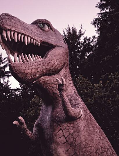 Por-qué-consumir-cannabis-da-hambre