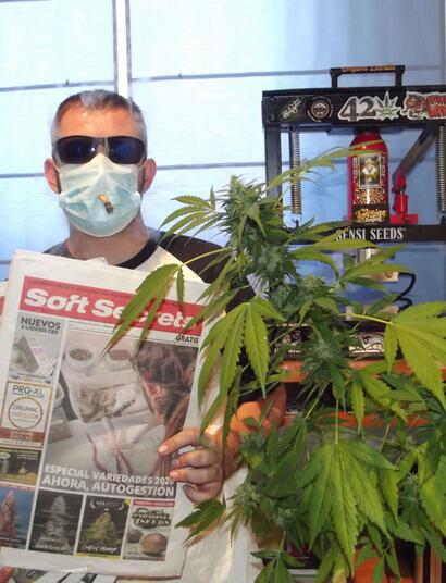 Cannabis im arbeitsleben